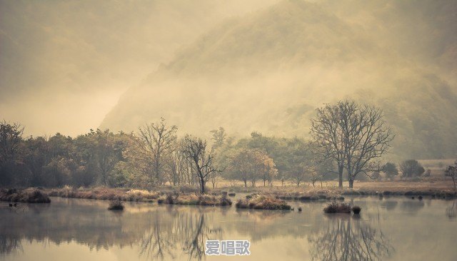 多情岸歌词意义 多情岸歌词意义 - 爱唱歌