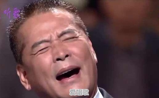 中国的哪些歌是日本改编来的 中国的哪些歌是日本改编来的 - 爱唱歌
