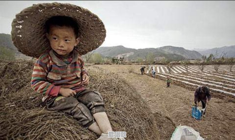 东钱湖的网红歌手 东钱湖的网红歌手 - 爱唱歌