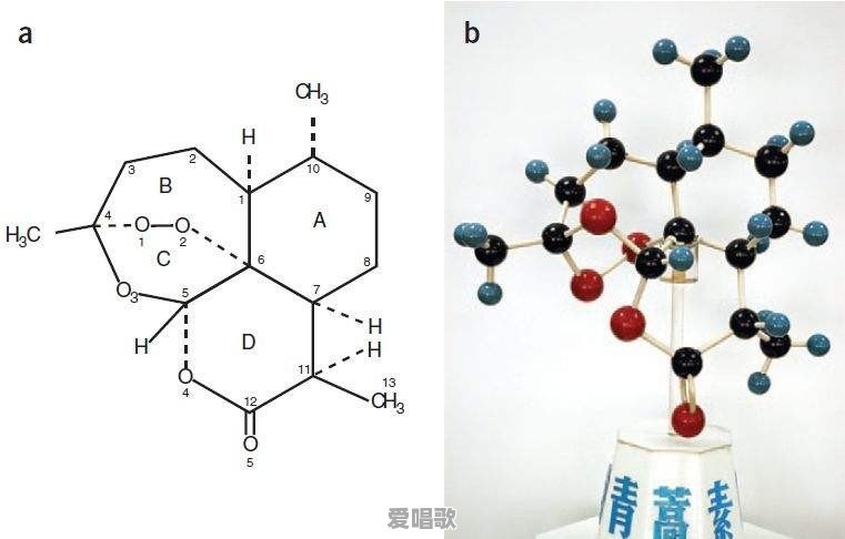 自近代以来中国在科学技术领域对世界有什么贡献或者成就 自近代以来中国在科学技术领域对世界有什么贡献或者成就 - 爱唱歌