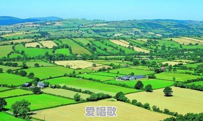 关于蔬菜的歌曲 关于蔬菜的歌曲 - 爱唱歌
