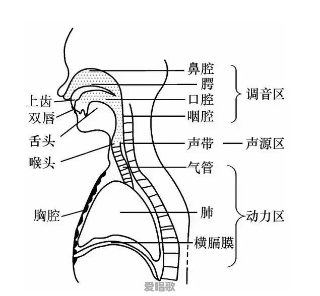 声乐大课堂唱歌技巧视频 声乐大课堂唱歌技巧视频 - 爱唱歌