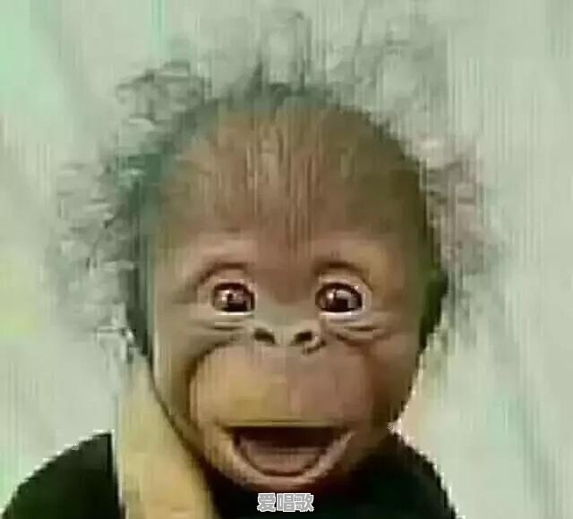 总裁,董事长,总经理在分别行使什么权利,谁是实际老板 总裁,董事长,总经理在分别行使什么权利,谁是实际老板 - 爱唱歌