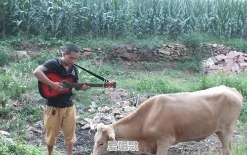 一点基础都没有,退休后学点什么乐器好学又好听 一点基础都没有,退休后学点什么乐器好学又好听 - 爱唱歌