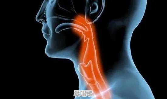 我姐今晚鱼刺卡喉咙了,呕吐也没吐出来,手电筒能看到,今晚怎么办明天才能去医院 我姐今晚鱼刺卡喉咙了,呕吐也没吐出来,手电筒能看到,今晚怎么办明天才能去医院 - 爱唱歌