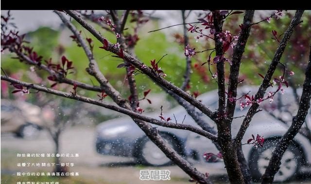 比喻的歌词有哪些 比喻的歌词有哪些 - 爱唱歌