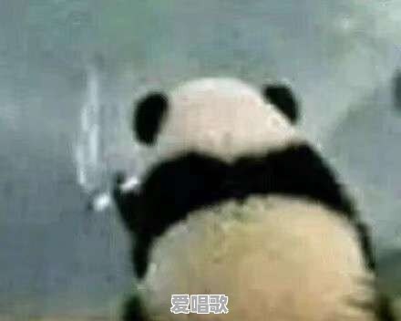 爱就爱了唱歌技巧视频 爱就爱了唱歌技巧视频 - 爱唱歌