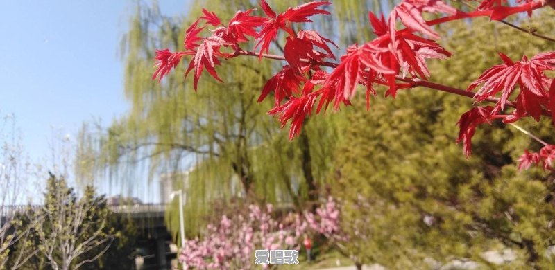 “婆婆也是妈,丈母娘也是娘”,关于这句话你是怎么想的 “婆婆也是妈,丈母娘也是娘”,关于这句话你是怎么想的 - 爱唱歌