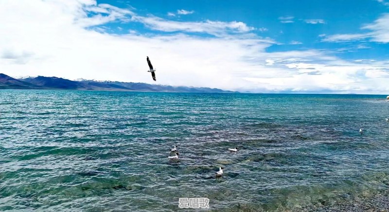 你见过出门旅游很奢侈的人吗？他（她）能奢侈到什么程度 - 爱唱歌