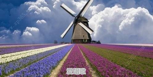 久石让音乐与流行音乐的区别 - 爱唱歌
