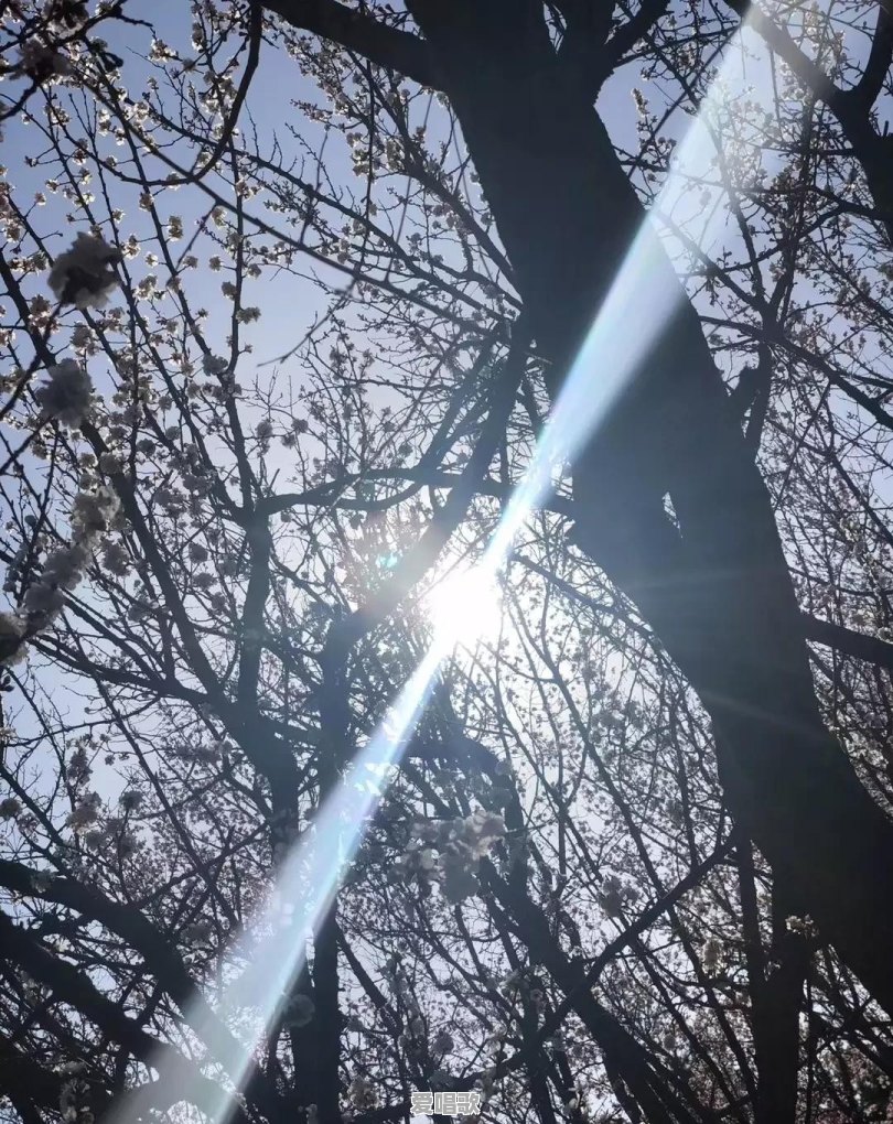 拼尽全力却也是过着平庸的生活,那要是不努力会怎样 拼尽全力却也是过着平庸的生活,那要是不努力会怎样 - 爱唱歌