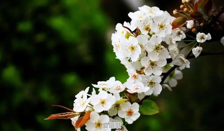魅声t62怎么在苹果手机全民K歌里调试最佳效果 魅声t62怎么在苹果手机全民K歌里调试最佳效果 - 爱唱歌