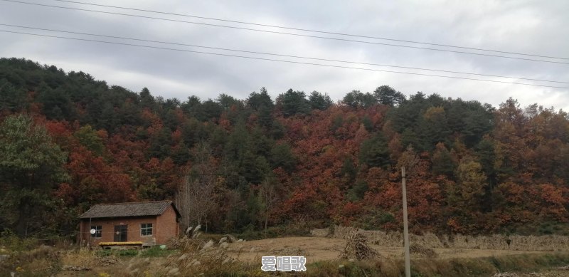 发嗲的粤语歌曲有哪些 - 爱唱歌