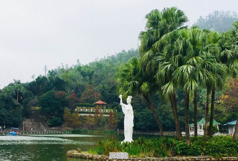 当你老了以后,你愿意整天待在家里看看书,还是出去旅游,哪个比较好 当你老了以后,你愿意整天待在家里看看书,还是出去旅游,哪个比较好 - 爱唱歌