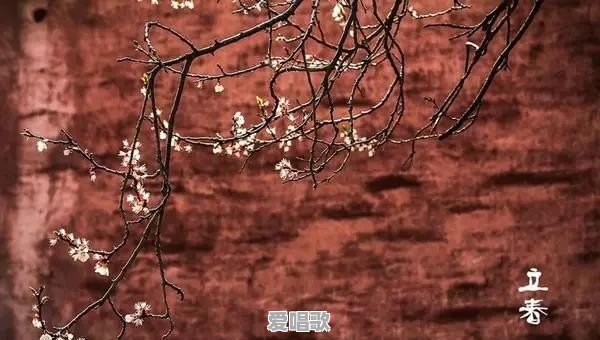 婚庆唱歌技巧和口诀视频 婚庆唱歌技巧和口诀视频 - 爱唱歌