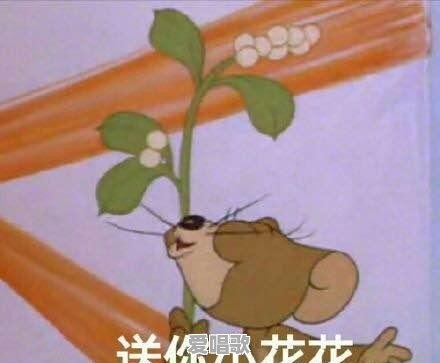 谁知道有那种搞笑跟说唱差不多样的歌 - 爱唱歌