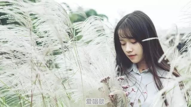 不再初见粤语歌曲歌词 不再初见粤语歌曲歌词 - 爱唱歌