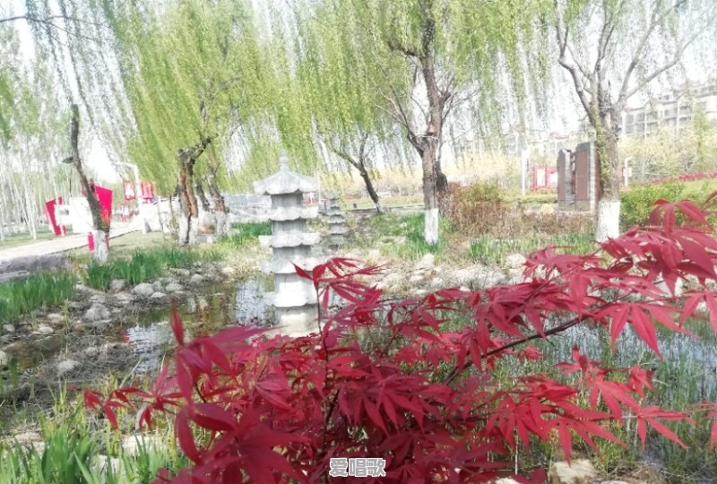 我回来你已不在歌词 我回来你已不在歌词 - 爱唱歌