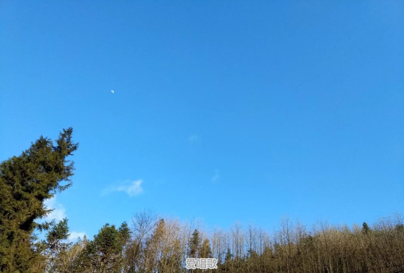 假装坚强的歌 假装坚强的歌 - 爱唱歌