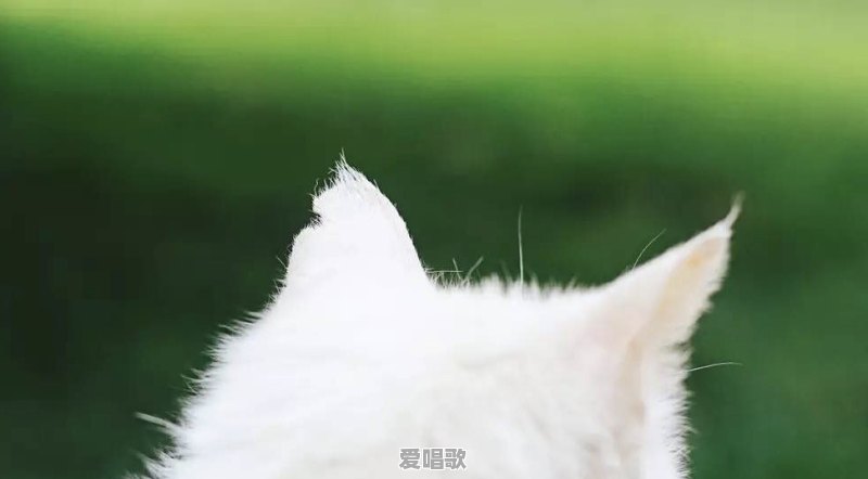 第一次和网友面基是怎样的?有没有发生什么奇葩或有趣的事情 第一次和网友面基是怎样的?有没有发生什么奇葩或有趣的事情 - 爱唱歌