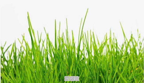 孩子教育的核心问题是什么 孩子教育的核心问题是什么 - 爱唱歌
