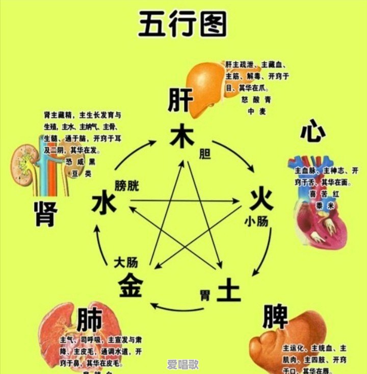流行音乐鱼目混珠论文 流行音乐鱼目混珠论文 - 爱唱歌