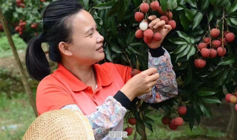 你有隐私吗?如果有,愿意说出来吗 你有隐私吗?如果有,愿意说出来吗 - 爱唱歌
