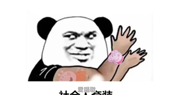 花朵流行歌曲有哪些 花朵流行歌曲有哪些 - 爱唱歌