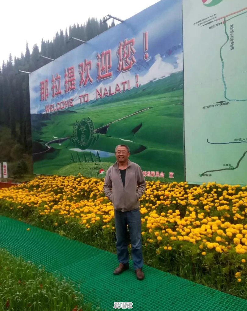穿盔甲的狐狸是什么歌手 - 爱唱歌