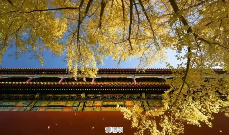 捞鱼网络歌曲叫什么 捞鱼网络歌曲叫什么 - 爱唱歌