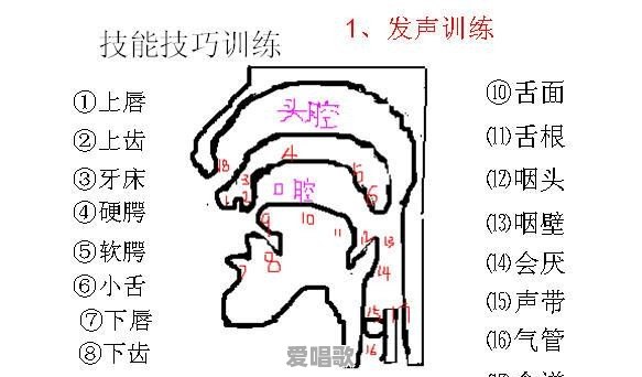 唱歌嘴型的技巧有哪些 - 爱唱歌