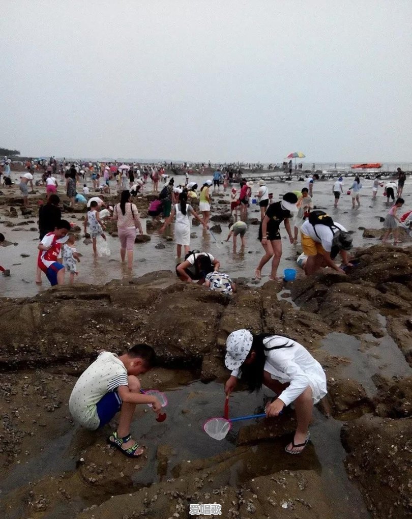 北方哪有带小孩子赶海的好地方啊?谢谢大神 北方哪有带小孩子赶海的好地方啊?谢谢大神 - 爱唱歌