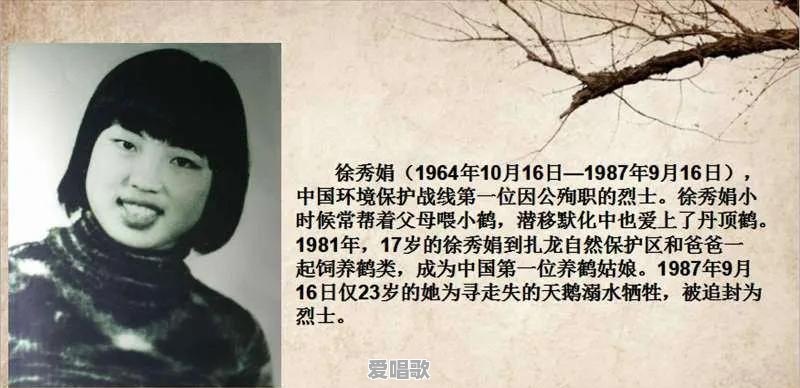 网络的爱情故事歌曲有哪些 网络的爱情故事歌曲有哪些 - 爱唱歌