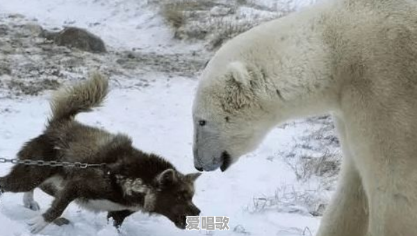 这阵流行歌曲是什么歌 这阵流行歌曲是什么歌 - 爱唱歌
