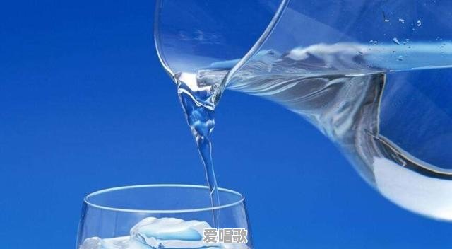 砂浆诗歌 - 爱唱歌
