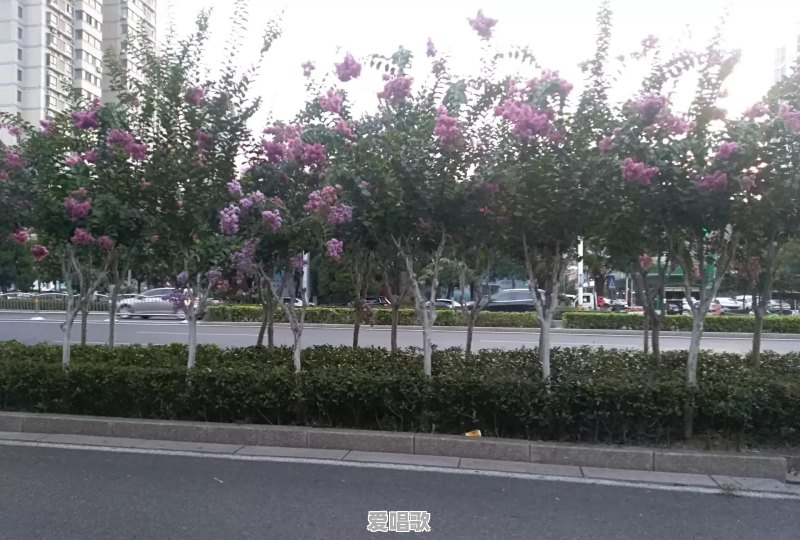 一个人生活从不主动去和人交流,难道也有错 一个人生活从不主动去和人交流,难道也有错 - 爱唱歌