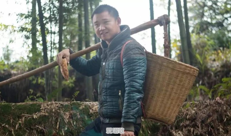 农村四哥个头不高学历不高为什么成网红 农村四哥个头不高学历不高为什么成网红 - 爱唱歌