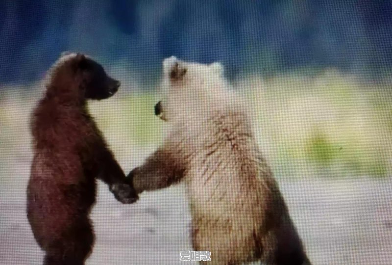 订婚音乐背景什么时候放 订婚音乐背景什么时候放 - 爱唱歌