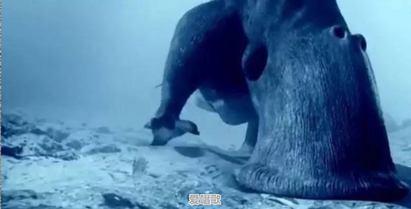 头像有山有雪代表什么 头像有山有雪代表什么 - 爱唱歌