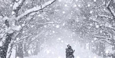 下雪了漫天飞舞的雪花什么歌 - 爱唱歌