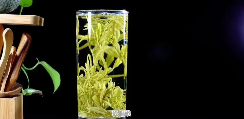 浅浅和新腾什么时候认识的 浅浅和新腾什么时候认识的 - 爱唱歌