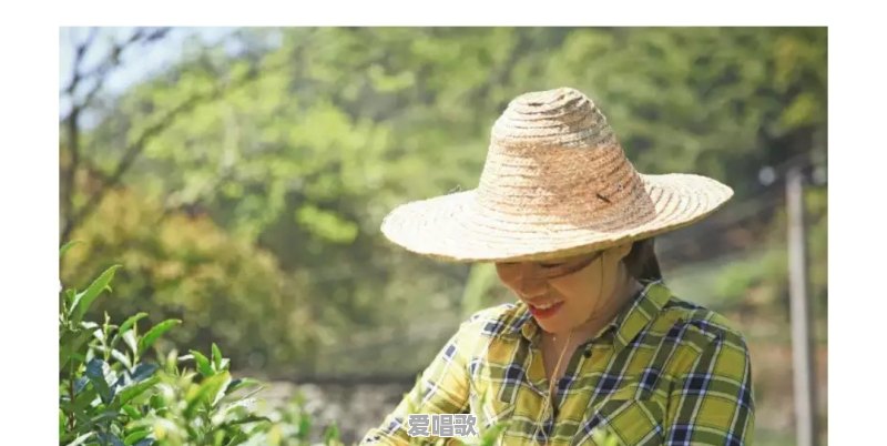 女高考状元返乡做茶农,是读书无用论实证,还是对其的反驳,当下学生应该怎么读书学习 女高考状元返乡做茶农,是读书无用论实证,还是对其的反驳,当下学生应该怎么读书学习 - 爱唱歌