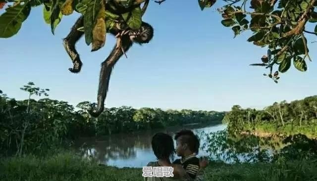 为什么总会怀念过去的美好时光 为什么总会怀念过去的美好时光 - 爱唱歌
