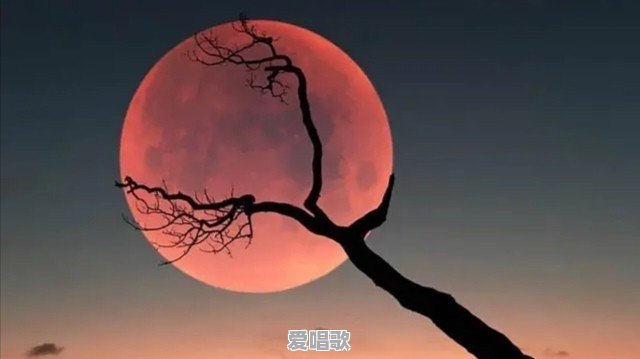 以为你不会走是哪首歌歌词 以为你不会走是哪首歌歌词 - 爱唱歌