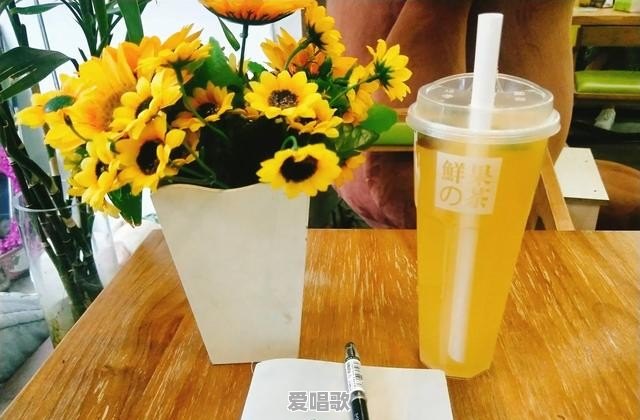 “感谢相遇”是什么意思 “感谢相遇”是什么意思 - 爱唱歌