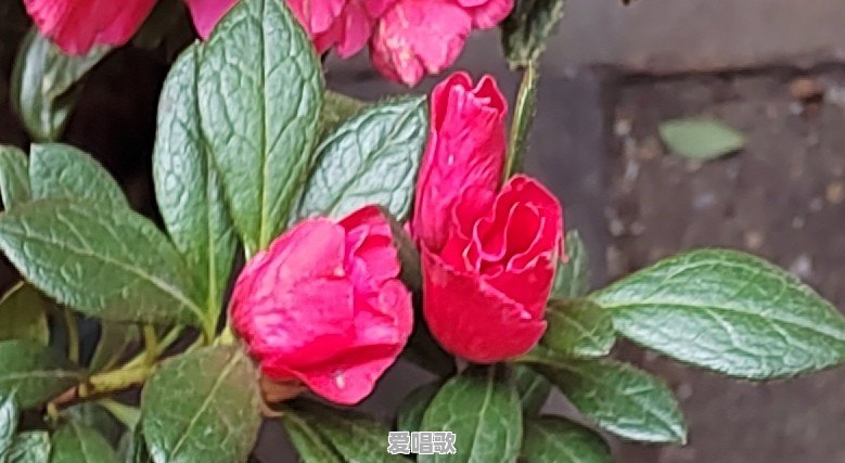 有钱父亲不舍得给儿子花钱为什么 - 爱唱歌