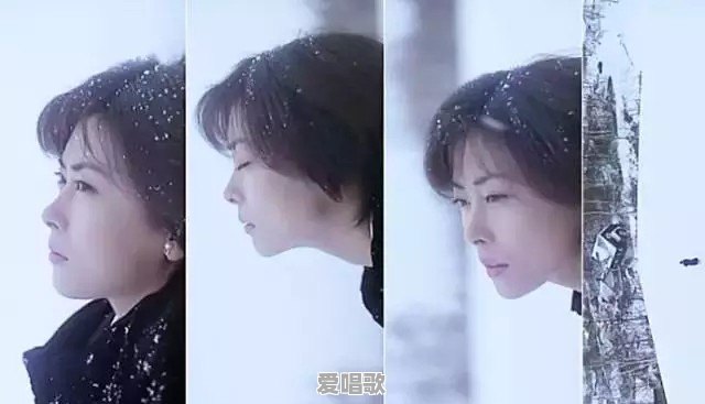 我们的辉煌金曲演唱会是哪年 - 爱唱歌