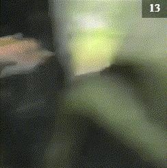 网络歌曲蝴蝶不懂花的泪原唱视频 - 爱唱歌