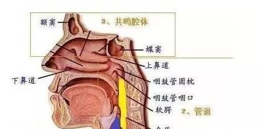 唱歌离歌的技巧有哪些 唱歌离歌的技巧有哪些 - 爱唱歌