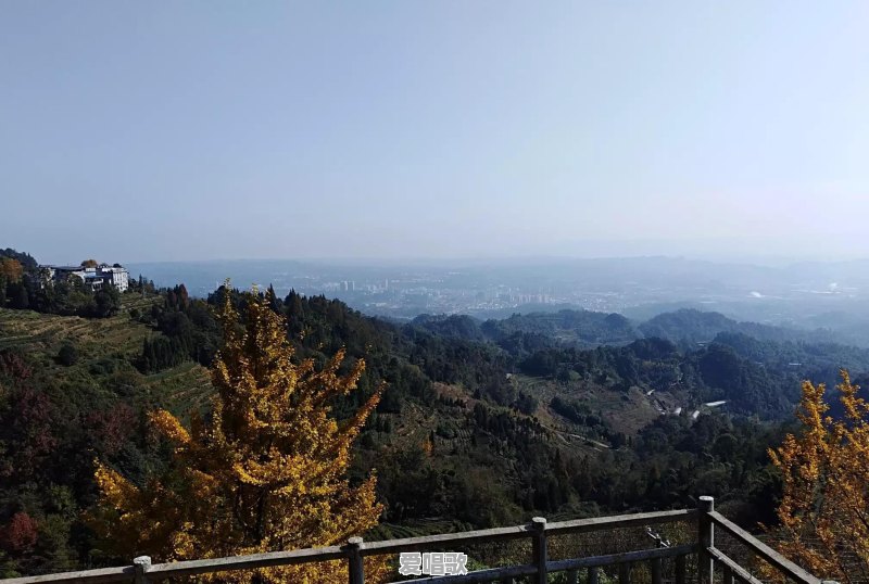 绽放吧百合大结局大山怎么了 绽放吧百合大结局大山怎么了 - 爱唱歌